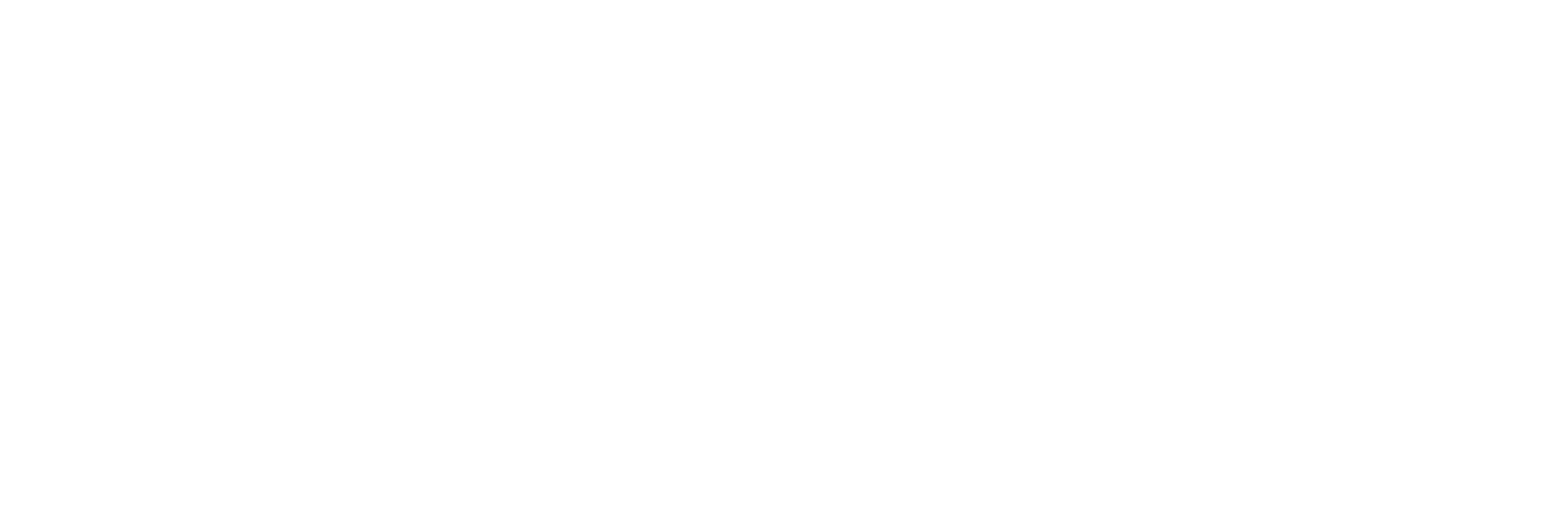 LynTry white logo